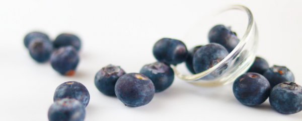 蓝莓储存方法