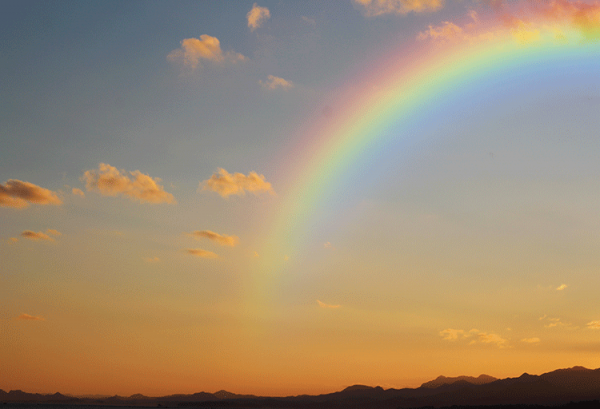 人生六苦指的是哪六苦