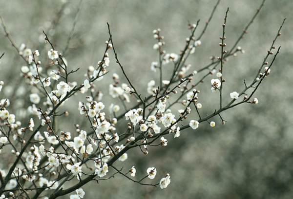 人生六苦指的是哪六苦