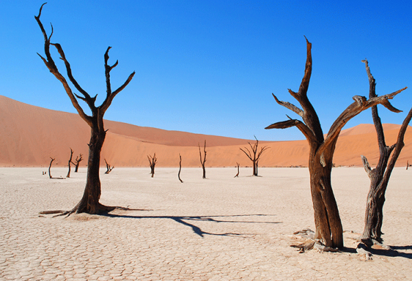 人生六苦指的是哪六苦