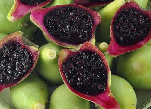 仙人掌的果实能吃吗