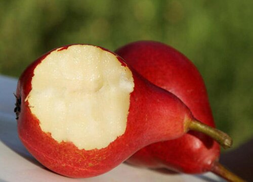 红啤梨产地中国哪里