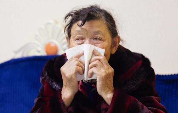 丁克什么意思简单点