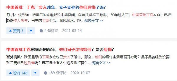 丁克什么意思简单点