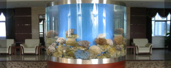 新开的鱼缸需要清洗吗多久