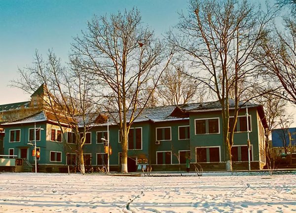 山东大学几个校区分别在哪