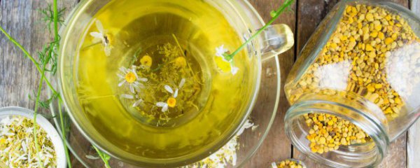 黄芪可以和菊花一起泡水喝吗