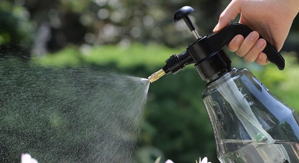 喷水壶喷不出水怎么修理