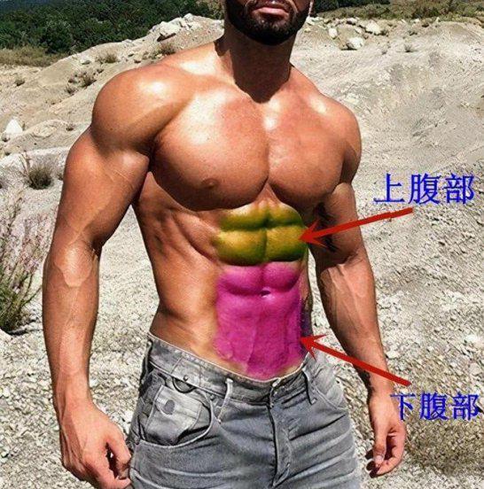 腹肌锻炼方法最快学生