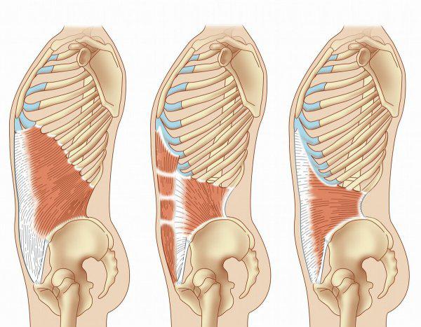 腹肌锻炼方法最快学生