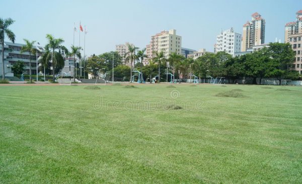 成都十大重点职业学校有哪些