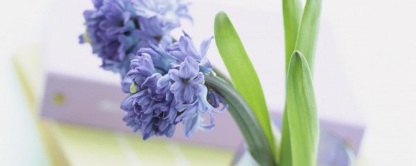 励志小清新语录唯美