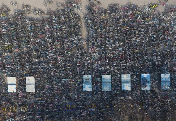 占地面积最大的大学