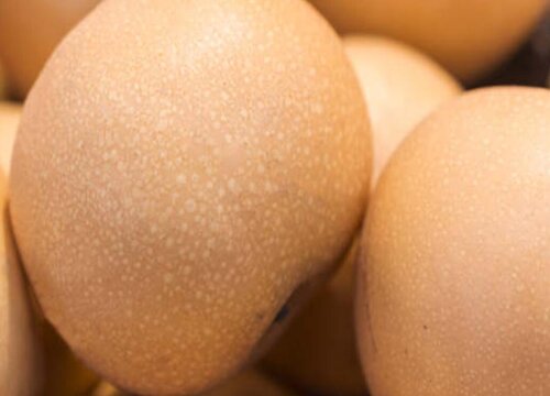 丰水梨和秋月梨的区别