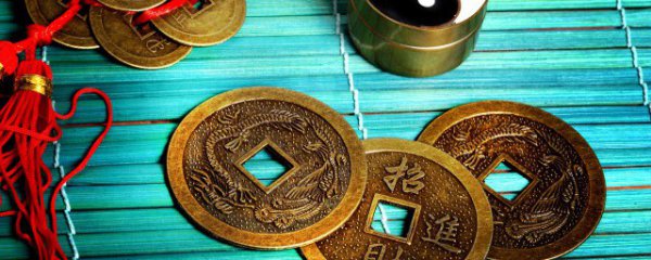 财务室放什么植物好