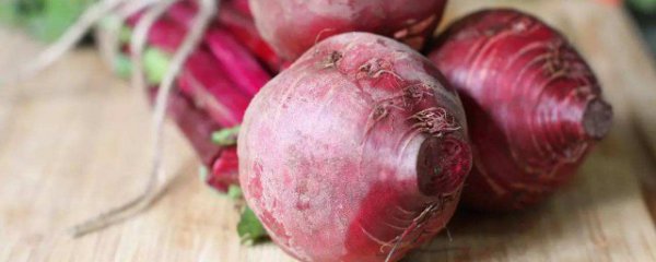 甜菜能生吃吗