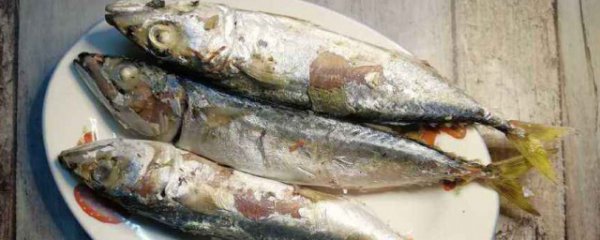 哪些人不宜吃巴浪鱼