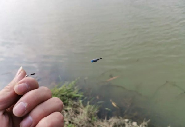 钓大鱼怎么调漂教程