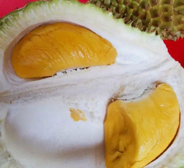 猫山王榴莲产地哪里