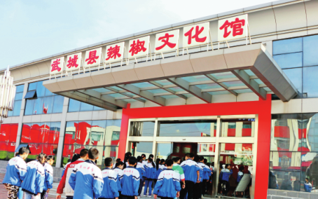 山东武城县属于哪个市