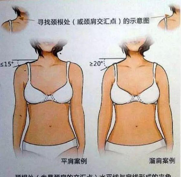 什么是直角肩什么是圆肩