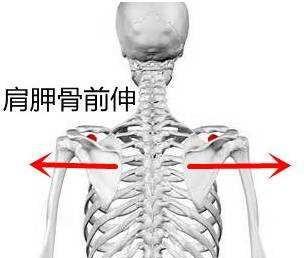 什么是直角肩什么是圆肩