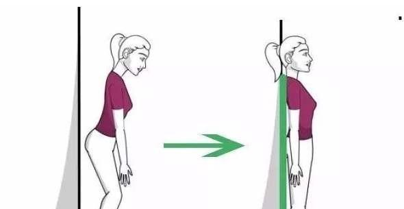 什么是直角肩什么是圆肩