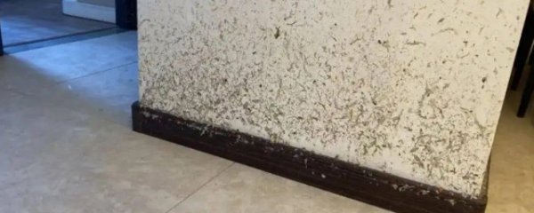 墙上的黑污渍怎么去除