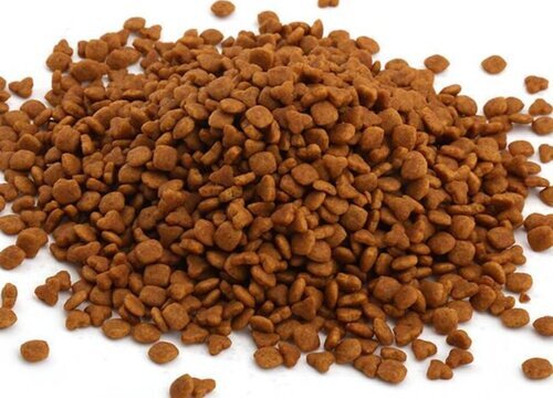 狗粮可以做肥料吗