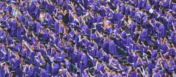 美国纽约大学排名世界第几