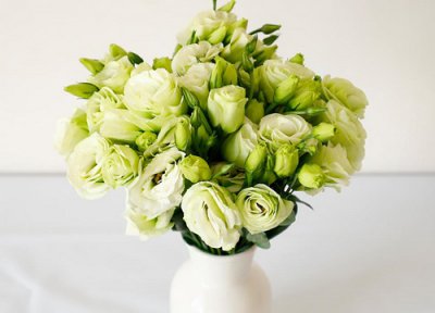 白色桔梗花的花语是什么意思 送什么人合适 寓意