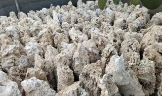 客厅摆放吸水石盆景好不好 客厅摆放吸水石盆景可不可以