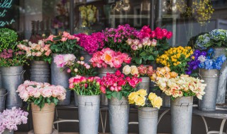 花卉怎么养才能长得旺盛 怎么养花才能更旺盛