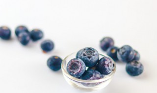 蓝莓的产地分布 蓝莓的主要产地在哪里