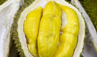 榴莲不能和什么一起吃 榴莲不能和哪些食物一起吃