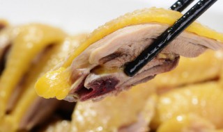 广东干炒鸡肉怎么炒才好吃 广东炒鸡的做法