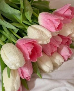 频繁换头像的男生是什么心理 男人总是换头像说明什么