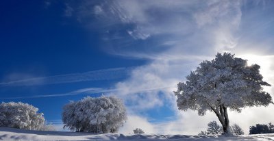 谁才是金牛座的灵魂伴侣 能让金牛座焕然一新的三个星座