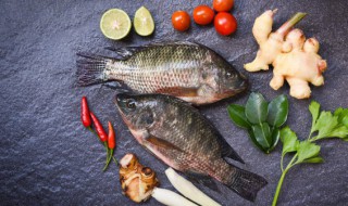 潮汕罗非鱼红烧好吃又简单 怎样做红烧潮汕罗非鱼