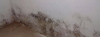 墙面发霉的原因及其处理方式 墙面发霉是什么原因造成的