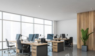 办公桌上摆什么植物 哪些常见的绿色植物可以摆放在办公桌上