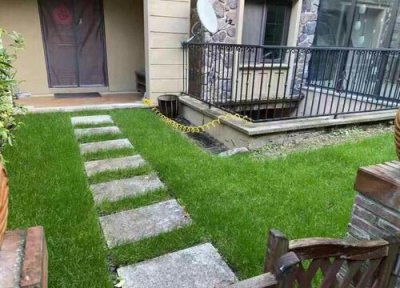 草坪草籽哪个品种好 常见绿化草坪种类有哪些