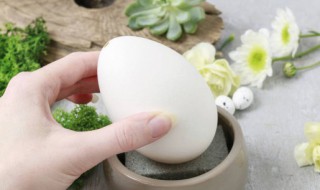 鹅蛋清蒸好吃又营养 鹅蛋如何清蒸好吃又营养
