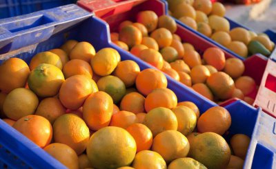 橘子和柑子的区别在哪 图解柑子和橘子的不同点