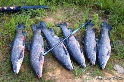 钓鱼什么风向好钓 不同风向对于钓鱼的影响有哪些