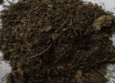 松针营养土的配制方法 落下的松针怎么发酵配制营养土