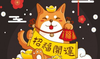 招财猫的摆放禁忌 家里放招财猫禁忌