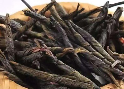 苦丁茶是什么树的叶子 苦丁茶是什么树长的叶子