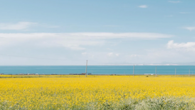 十二星座黑化后谁最可怕排名 黑化后最厉害的四个星座