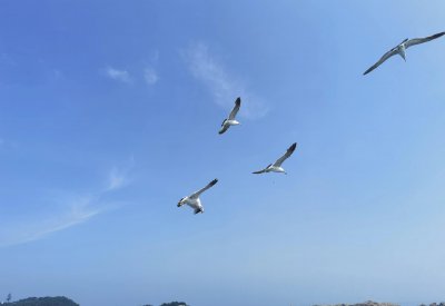 山东威海旅游景点有哪些 威海市5大主要好玩的旅游地方